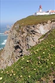 Cabo da Roca